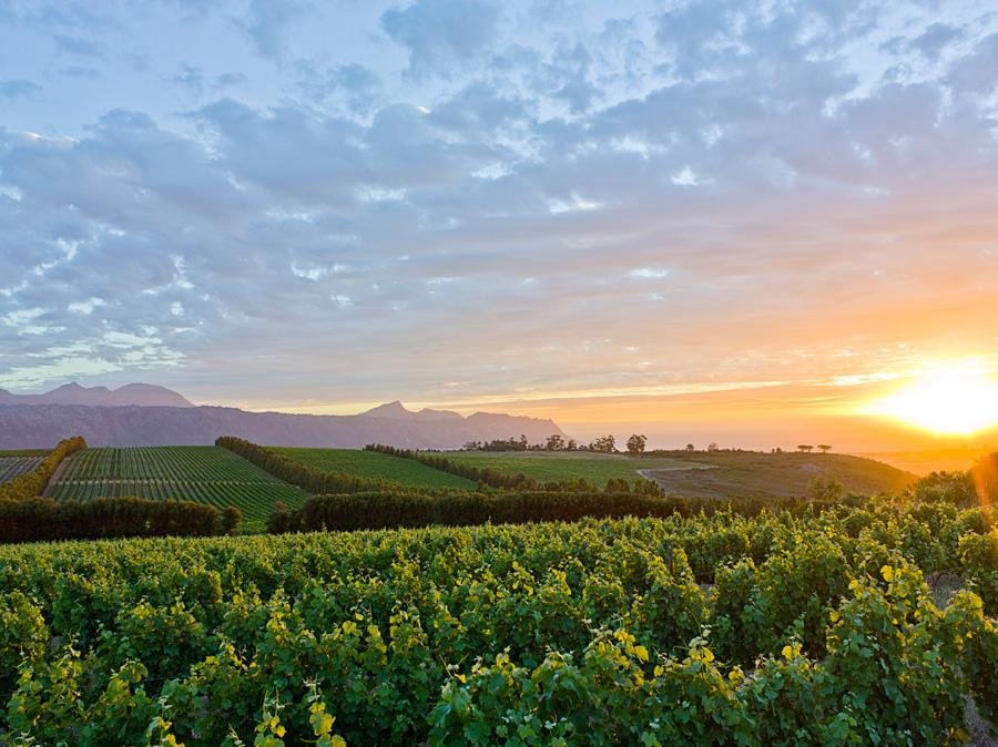 Cape Town Wine Route