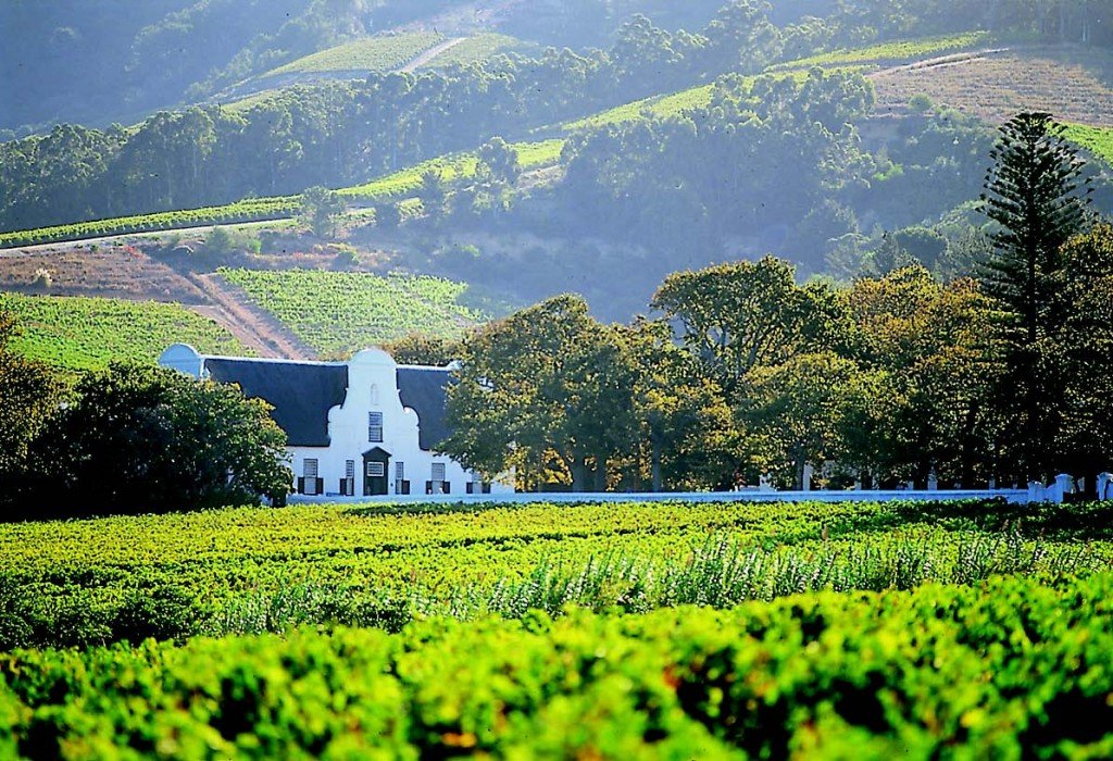 Full Day Winelands Tour