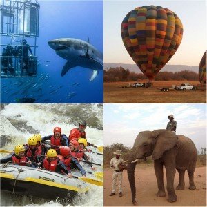 activities for blog