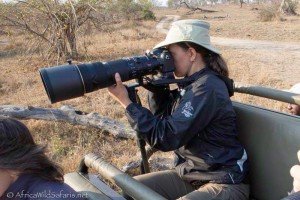 camera-support-on-safari