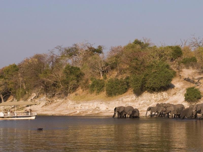 Elephant Safari