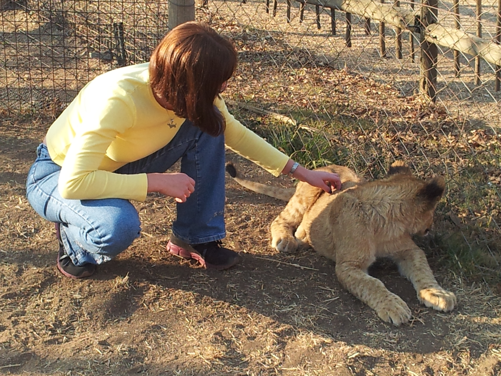 Johannesburg Lion Park