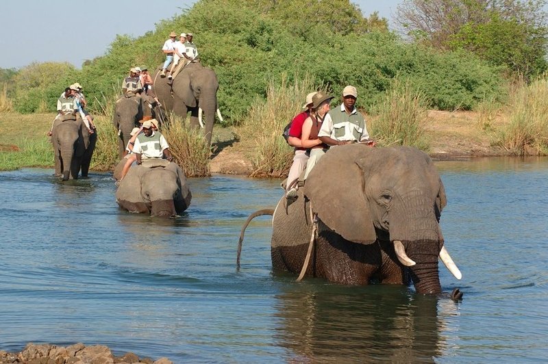 Elephant Back Safari