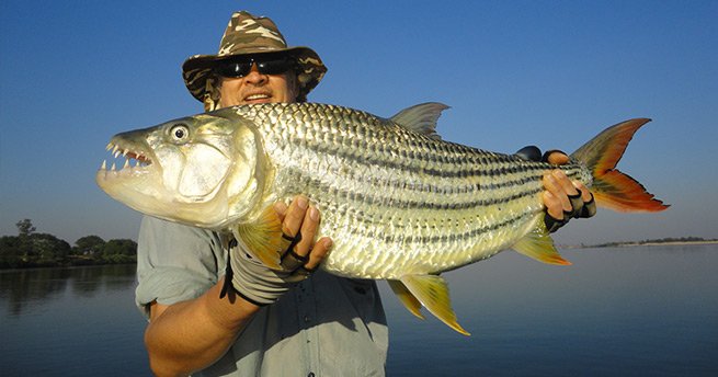 Fishing on the Zambezi River