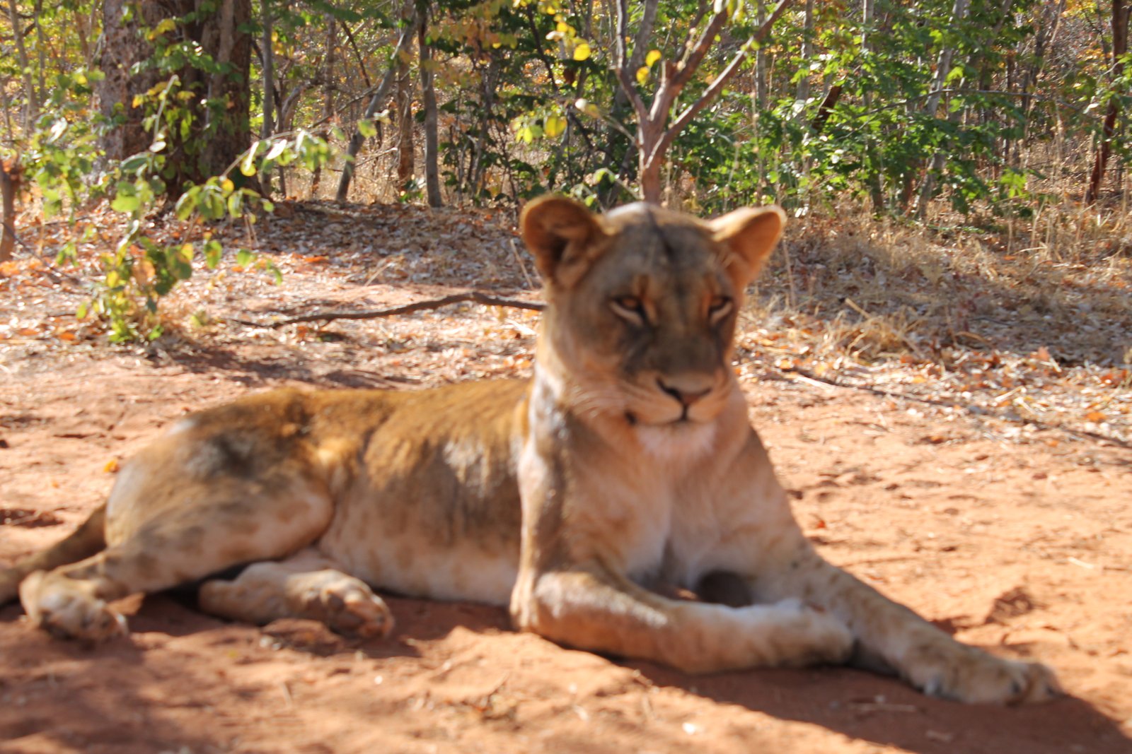 Zambezi National Park