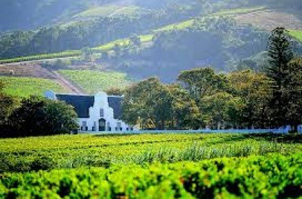 CAPE TOWN- WINELANDS