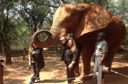 ELEPHANT SANCTUARY